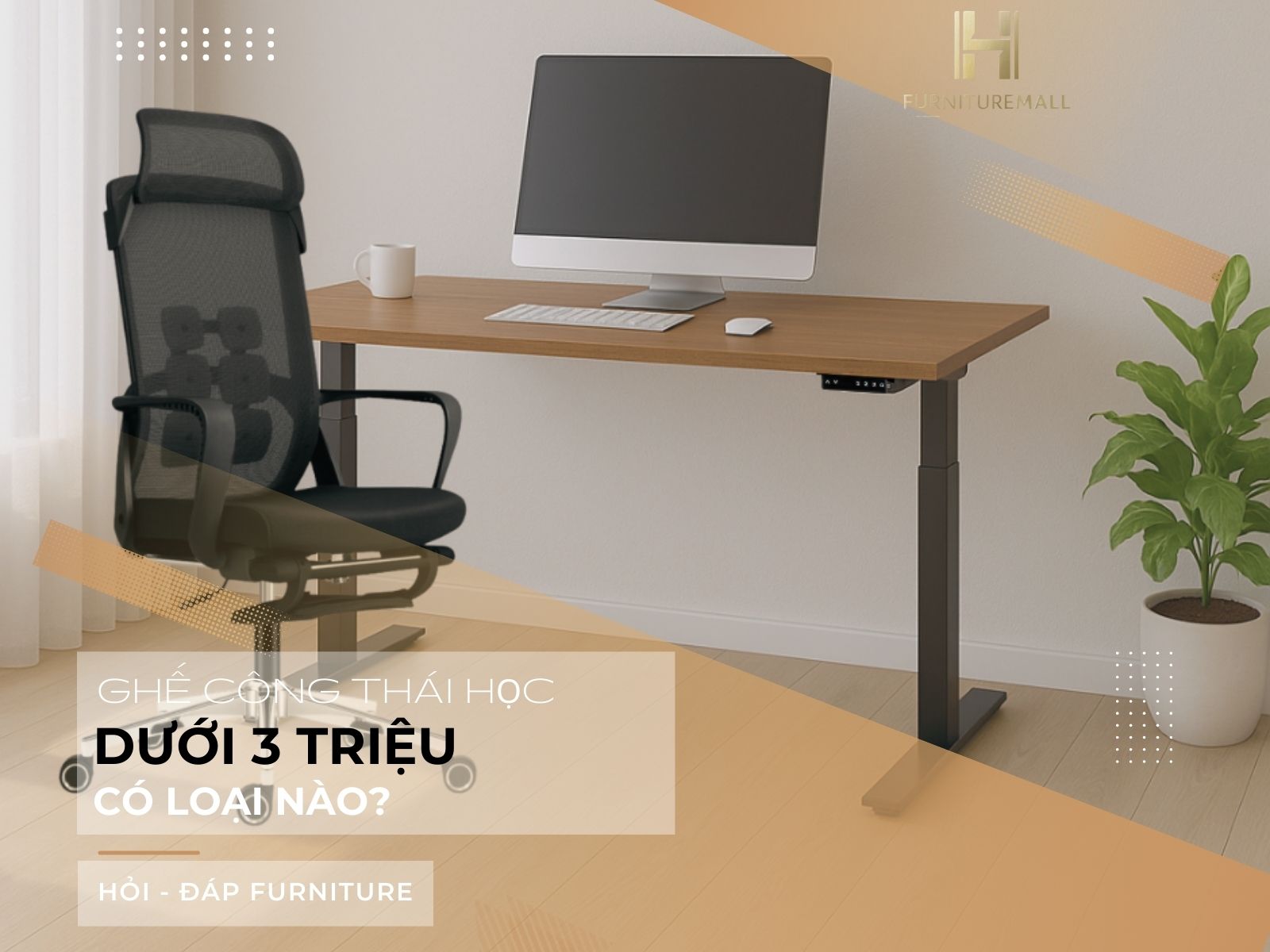 Ghế công thái học giá rẻ dưới 3 triệu có loại nào?