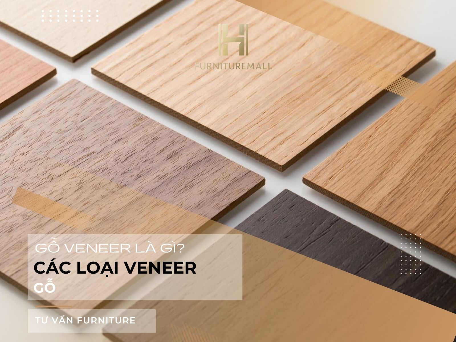 Gỗ Veneer là gì? Các loại Veneer gỗ