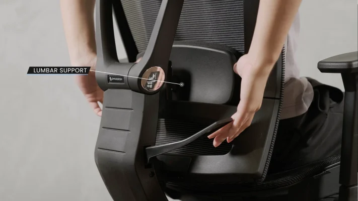 ergonomic chair lumbar adjustment