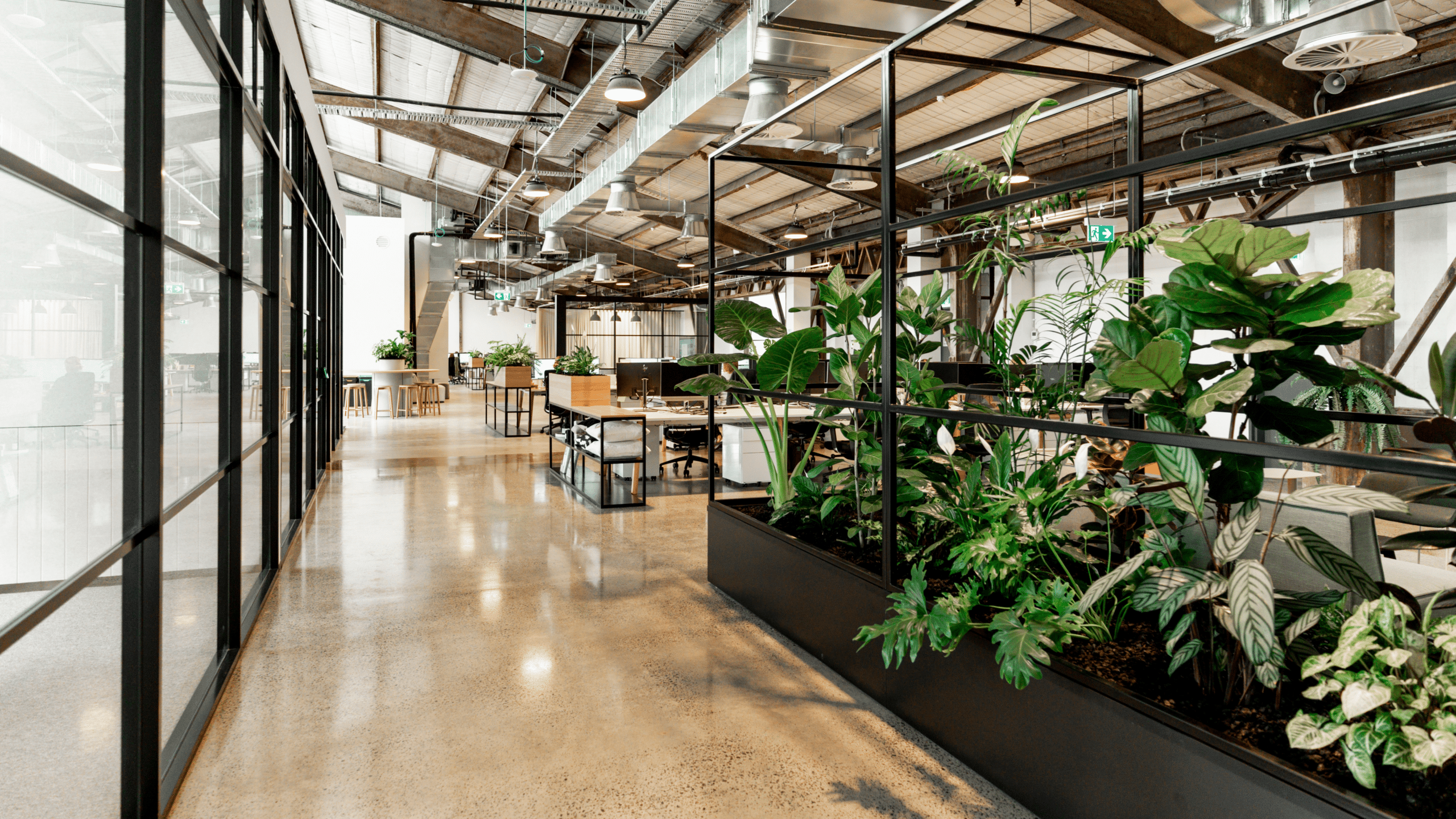 Biophilic-office-design 2026-trend